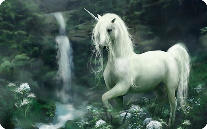 Licorne